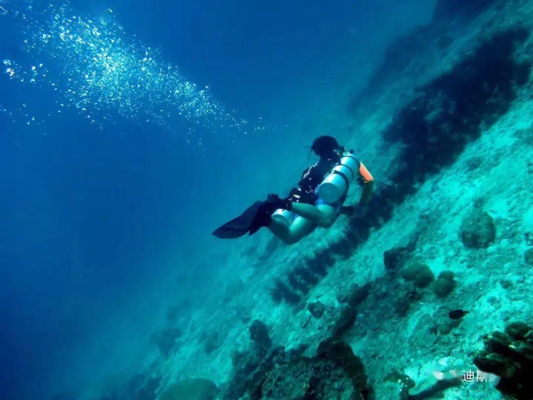 兴化戴南156公里生态河 成“流动的风景”